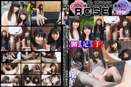 高品質な無修正DVD・裏DVDサイト ビーナス 買い物カゴ画像 ROSE LiP　嬲られ足コキ手コキ 